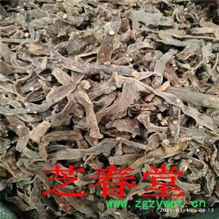 中药材批发 散装毛姜 骨碎补优质新货 量大从优图2