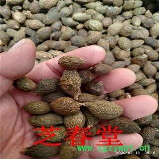 花草茶批发 胖大海茶养生茶 精选胖大海500克 厂家直供量大从优图2