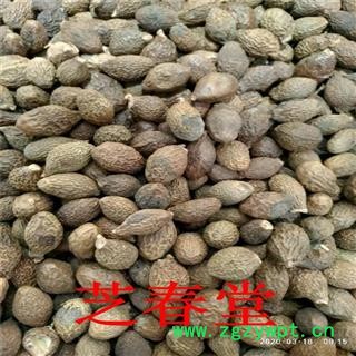 花草茶批发 胖大海茶养生茶 精选胖大海500克 厂家直供量大从优图4