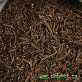 九节菖蒲  节菖蒲  米菖蒲 小菖蒲 好统货 产地 四川省凉山彝族自治州德昌县图3