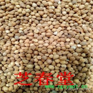 中药材批发郁李仁 内蒙产地货源无硫优质散装郁李仁  量大从优图4