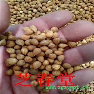 中药材批发郁李仁 内蒙产地货源无硫优质散装郁李仁  量大从优图2