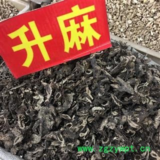 升麻 统片 产地 四川省阿坝藏族羌族自治州九寨沟县图2