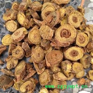 黄芩 好统 产地 山西省运城市万荣县图2