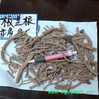 板蓝根 2020年 产地 甘肃省张掖市民乐县图3