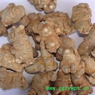 三七 全干 60头 产地直销 云南省文山壮族苗族自治州文山县图2