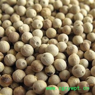 精品白胡椒选货 精选好货 质量好 价格低 产地直销  产地 海南省图2