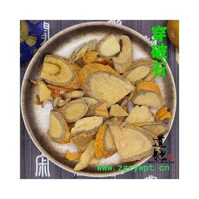 穿破石 统货 产地 广西壮族自治区