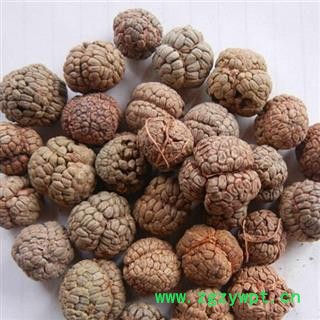 精品海南草豆蔻选货  质量好 价格低 产地直销  产地 海南省图2