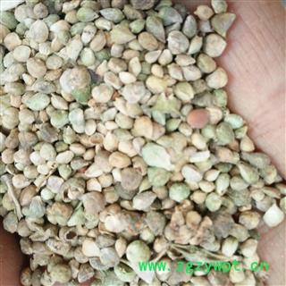 菠菜子 菠菜籽 青菜子 统货 产地 安徽省图2