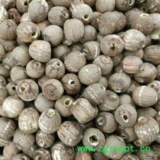 红莲子 红莲子统货  抽芯红莲子  产地 山东省图2