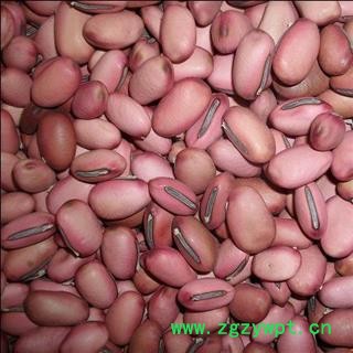 刀豆 红刀豆  选货 产地 辽宁省图2