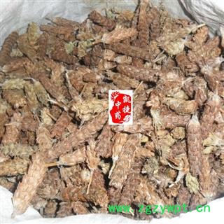 夏枯球 夏枯球净货 产地 河南省图3