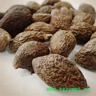 胖大海 长果选 产地 海外 越南进口 选货凯捷中药图2