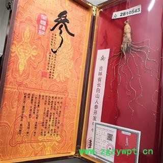 新辉药业人参  长白山人参  60公分皮盒带参图4
