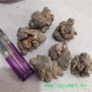 新辉药业三七 20头水洗不打蜡图3