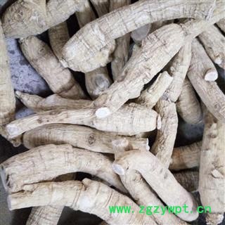 新辉药业西洋参中条图2