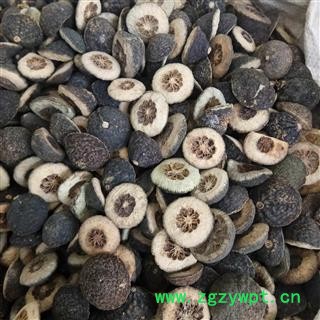 枳实 湖北对瓣枳实 产地 湖北省图3