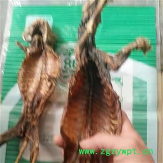 新辉药业优质黄鼬干 黄鼠狼干图2