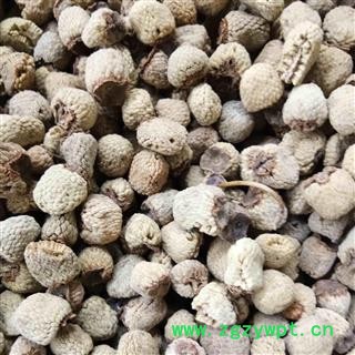 覆盆子 覆盆子精选货 1.0筛子以上精选货  产地 浙江省图2