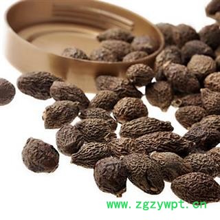 胖大海 胖大海长粒统货 产地 海外 越南进口 凯捷中药图2