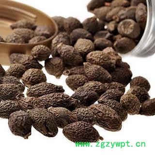 胖大海 胖大海长粒统货 产地 海外 越南进口 凯捷中药图3