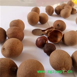 桂圆 AAAAAA级桂圆干 干龙眼 产地 广西壮族自治区图2