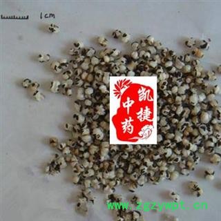 王不留行 统货 产地 河南省濮阳市濮阳县图2