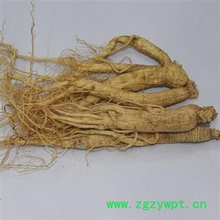 新辉药业人参小条产地吉林图2