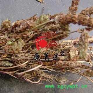 夏枯草 统货 产地 河南省图3