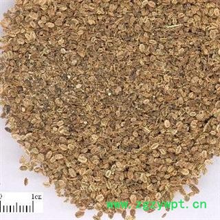 蛇床子 蛇床子净货 产地 安徽省 凯捷中药图2