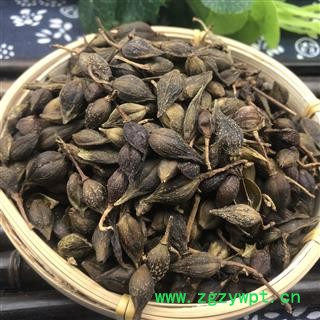 连翘 青翘水煮（汽蒸）选货 产地 山西省图2