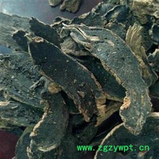 玄参 玄参斜片大统片 产地 湖北省 国药堂 专注品质图2