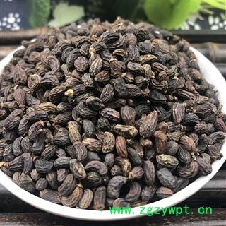 女贞子 女贞子（鸡腰） 产地 四川省内江市威远县图3