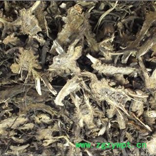 藁本 统 产地 新疆维吾尔自治区 国药堂 专注品质图2