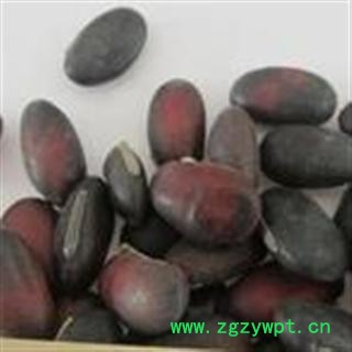 供应【红刀豆】【刀豆子】【魔豆】中药材 工艺品 纯红色图3