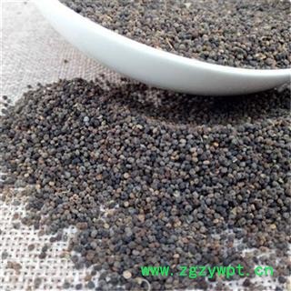 芝春堂 冷背中药材白花菜子 白花菜籽 统 产地 黑龙江省 支持验货图2