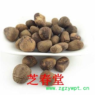 【大枫子】大风子 大风子仁 中药材 杀虫 新货图3