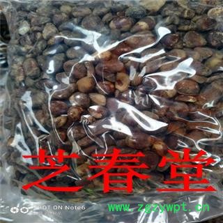 【大枫子】大风子 大风子仁 中药材 杀虫 新货图4