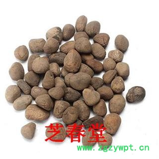 【大枫子】大风子 大风子仁 中药材 杀虫 新货图2