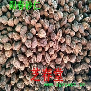 批发中药材 进口砂仁 砂仁粉 壳砂仁 阳春砂仁 各种规格 承接订单图4