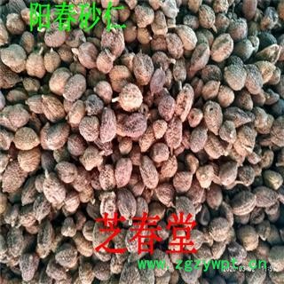 批发中药材 进口砂仁 砂仁粉 壳砂仁 阳春砂仁 各种规格 承接订单图3