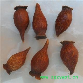 中药材批发金樱子无硫金樱子金樱子肉优质金樱子各种规格图2