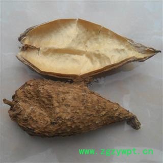 中药材批发零售供应冷背正品优质无硫天浆壳罗摩壳天将壳图2