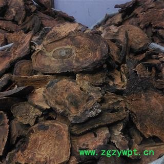 野生大黄 唐古特大黄 产地 西藏自治区拉萨市当雄县图2