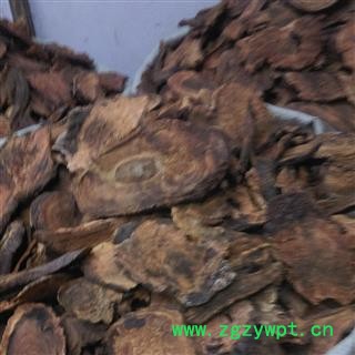 野生大黄 唐古特大黄 产地 西藏自治区拉萨市当雄县图3