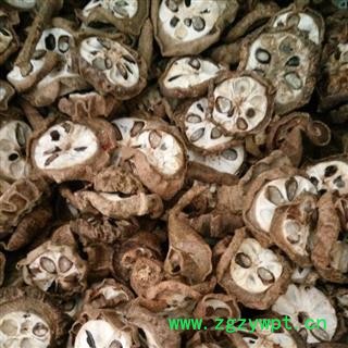 八月札 预知子 选货 产地 云南省图2