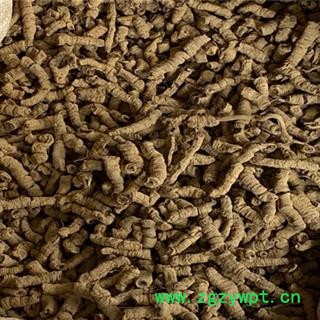 新辉药业正品巴戟天 巴戟肉图2