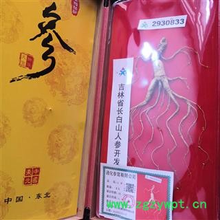 新辉药业人参  长白山人参 精装木盒带国检图2