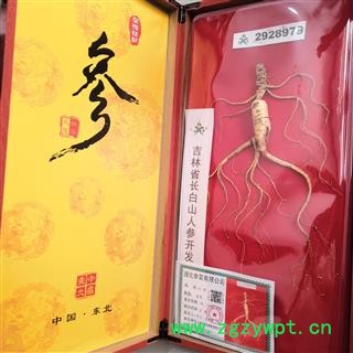 新辉药业人参  长白山人参 精装木盒带国检图4